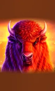 Buffalo 50