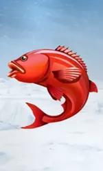 Ice Fishing